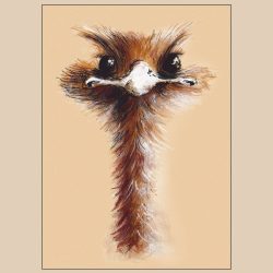 Postkarte - ein zuversichtlicher Blick
