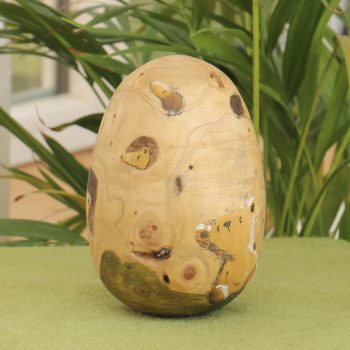 Eijeijei ein Ei – Bild 4