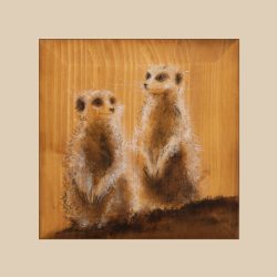 2 Erdmännchen