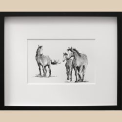 Pferdezeichnung Stute, Fohlen und Hengst Zeichnung von Peter Schnellhardt